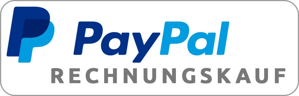 Paypal Rechnung Logo